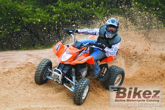 2012 Arctic Cat 300 DVX photo